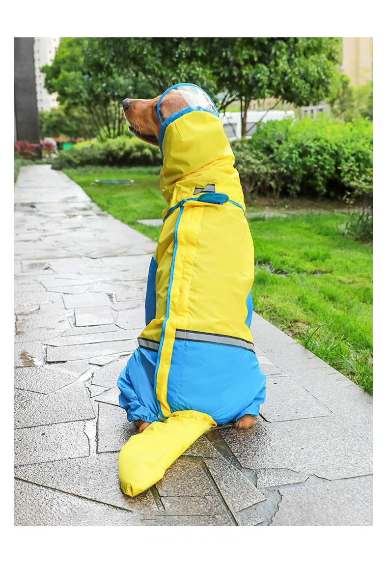 Capas de chuva para cães