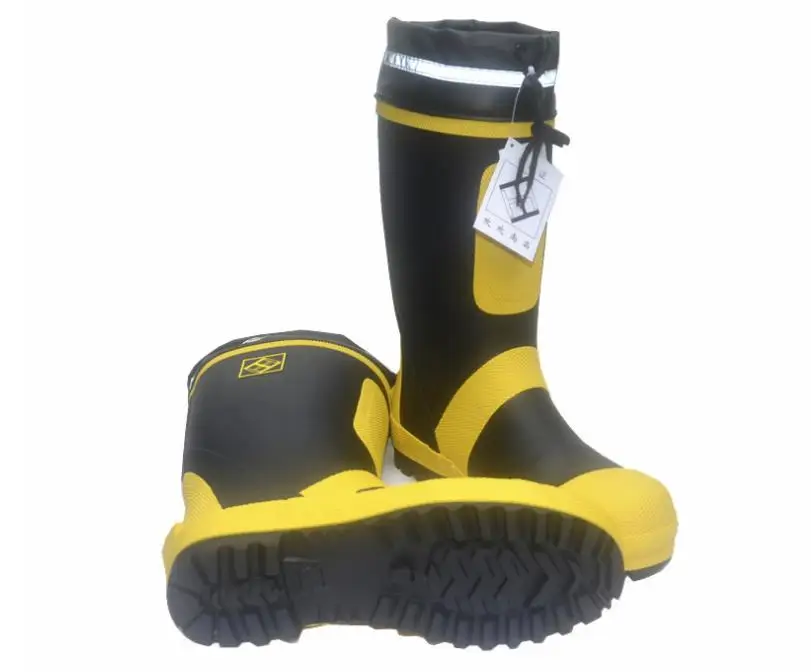 36020181024004003554