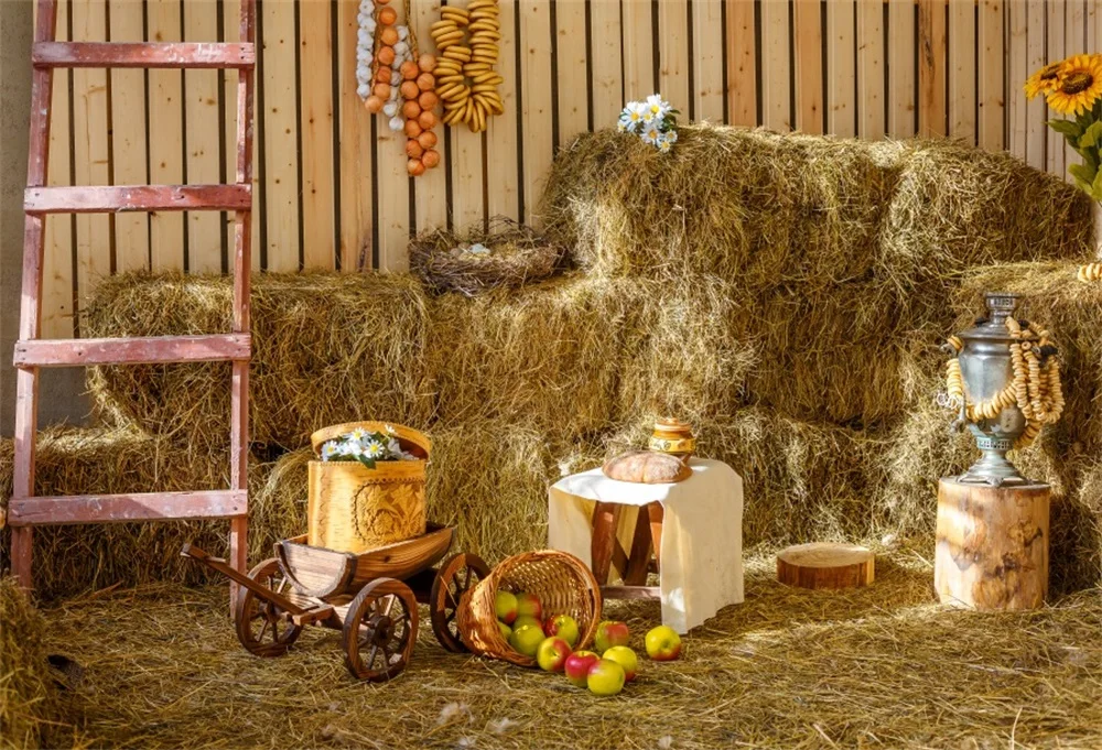 

Laeacco Farm Wooden House Ladder Fruits Harvest Photography Backgrounds Customized Photographic Backdrops For Photo Studio