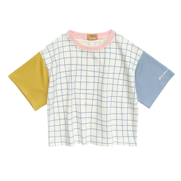 aeProduct.getSubject()