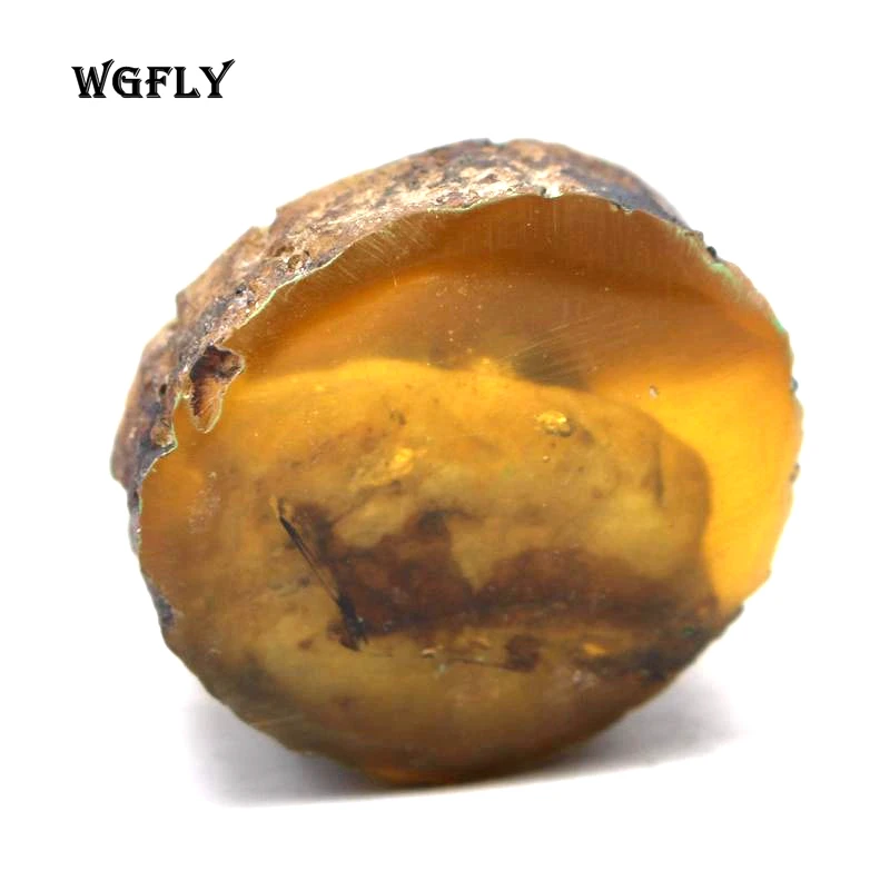 WG (6)