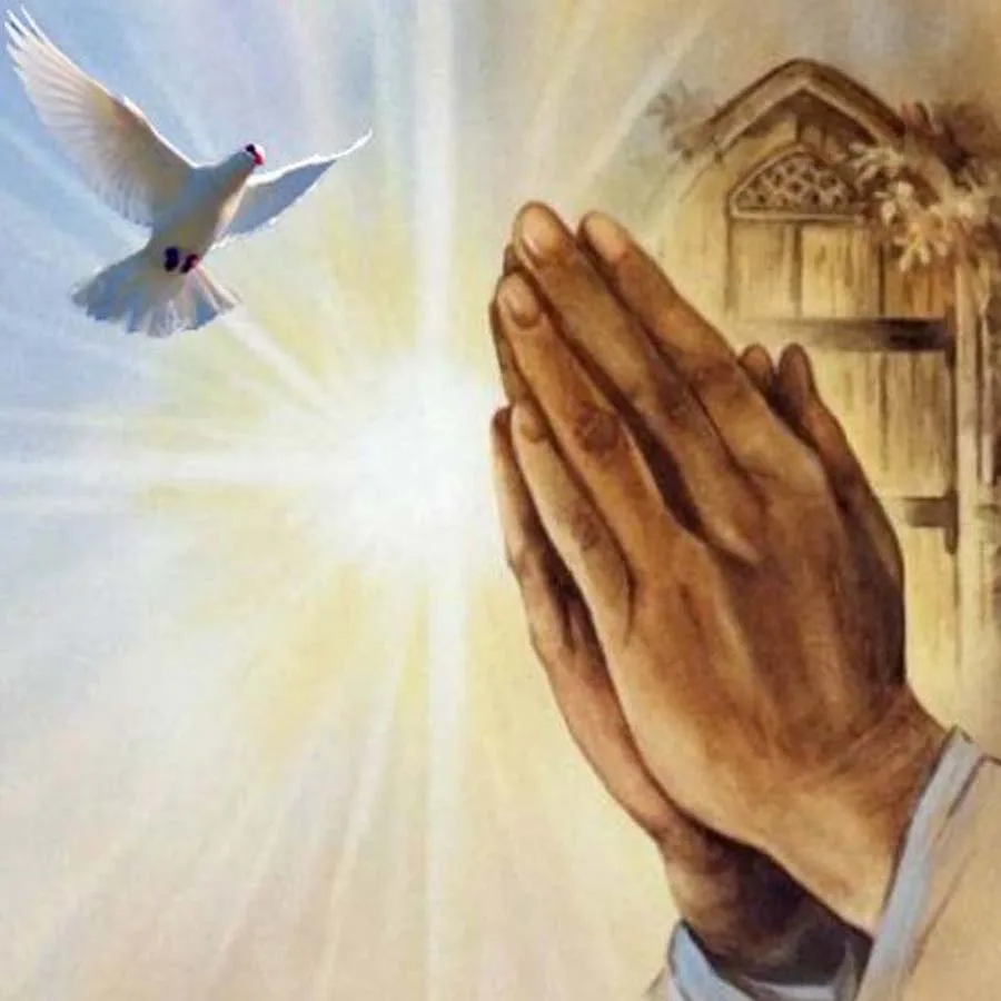 HTB1zg1GaLLsK1Rjy0Fbq6xSEXXar