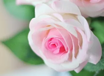 

Real touch latex artificial rose flower, Pink red champagne lifelike home decoration rose ,wedding bouquet , 48pcs