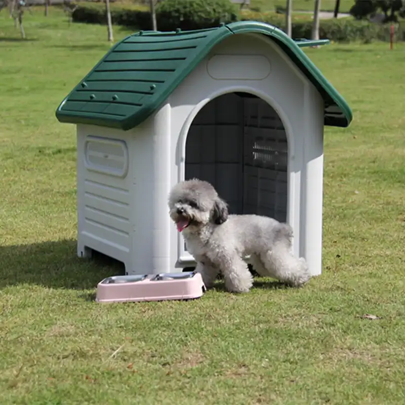 plastic dog kennel pets at home