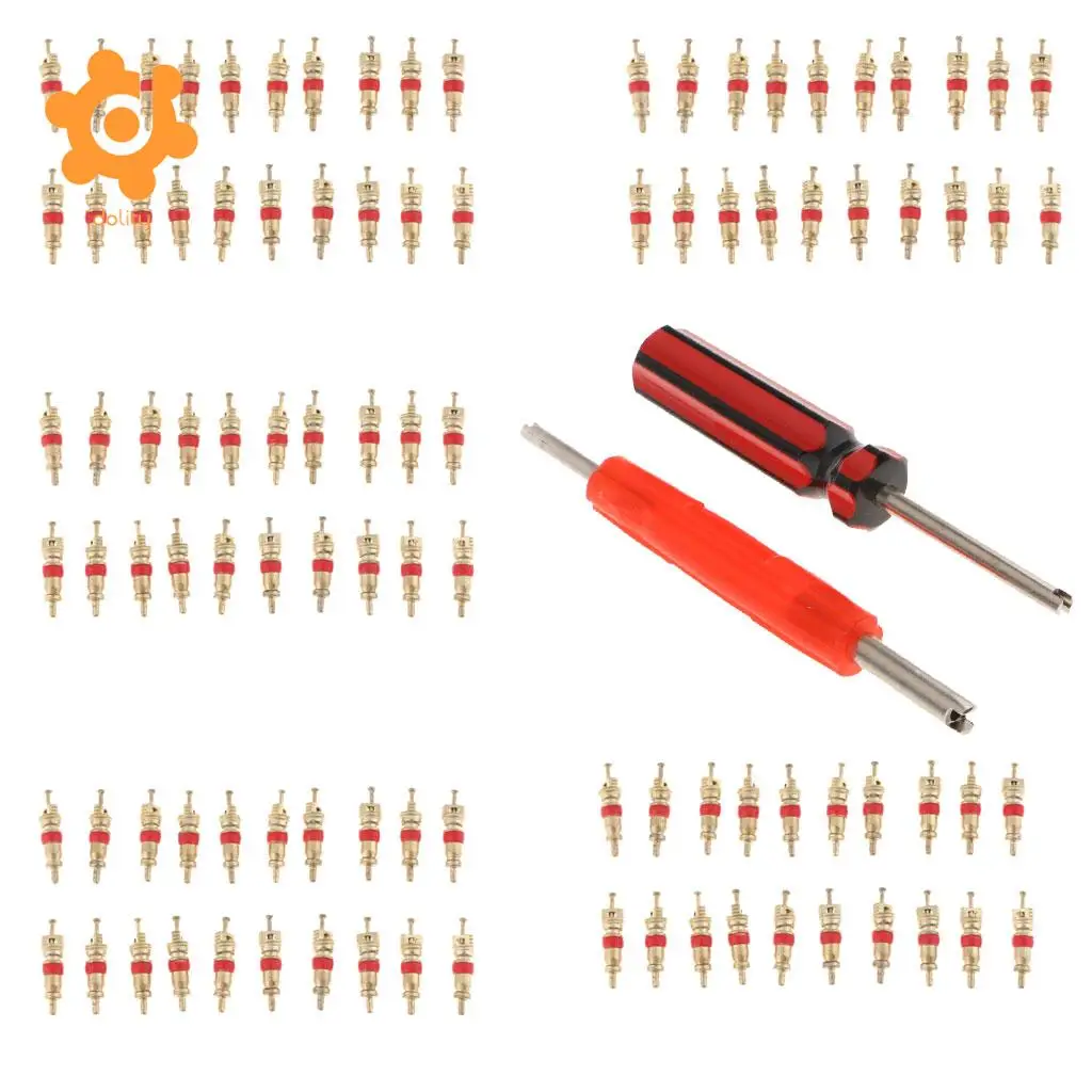 102Pcs Tire Valve Stem Core Part Dual /Single Head Valve Core Remover Set