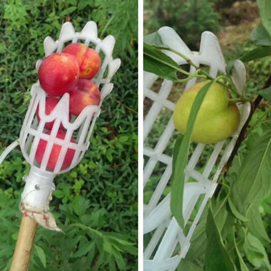 1 Pc Plastic Fruit Picking Tool Without Pole Fruit Catcher Collector for Garde Picking Tool Apple Citrus Pear Peach Hand Tool