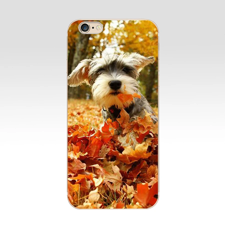 85 ZX миниатюрный Schnauzer чехлы для телефонов Iphone 7 6 6S 8 Plus чехол чехлы|Бамперы| |