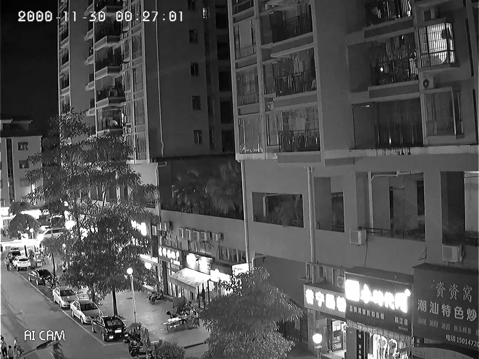 5MP 4MP 3MP 2MP H.265 IP купольная камера 2592*1944 2560*1440 XM550AI + SC335E Onvif CMS XMEYE P2P Cloud NightVision|ip dome