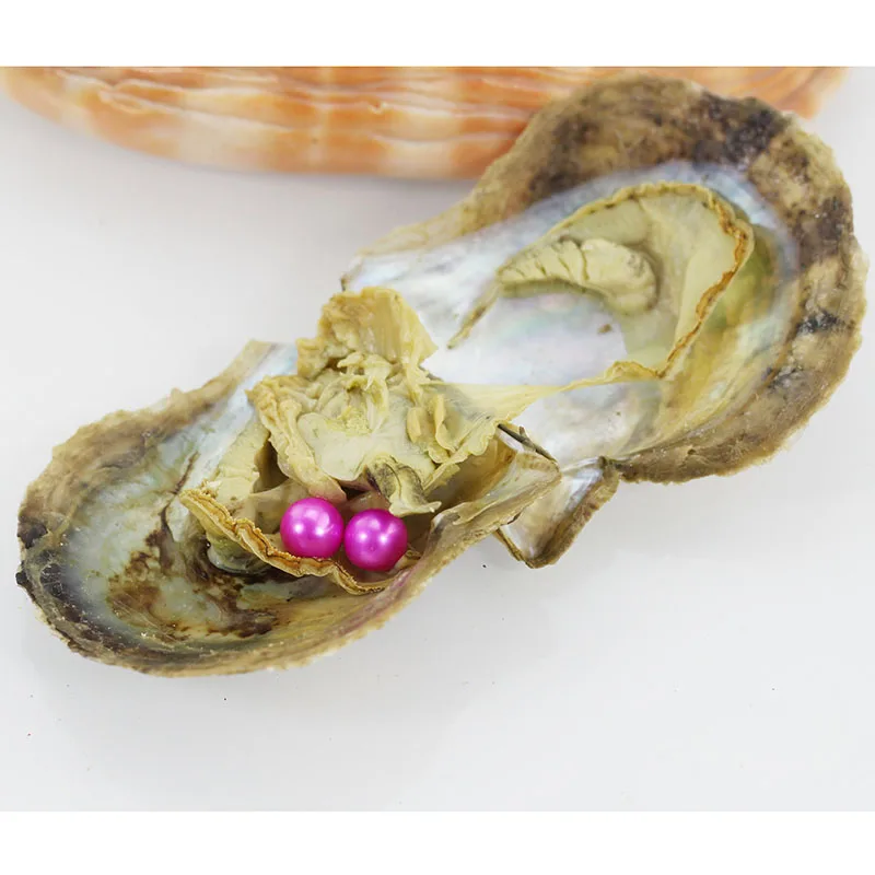 Oyster Two Pearls Live Party Gift 20pcs Vacuum packed Akoya Pearl