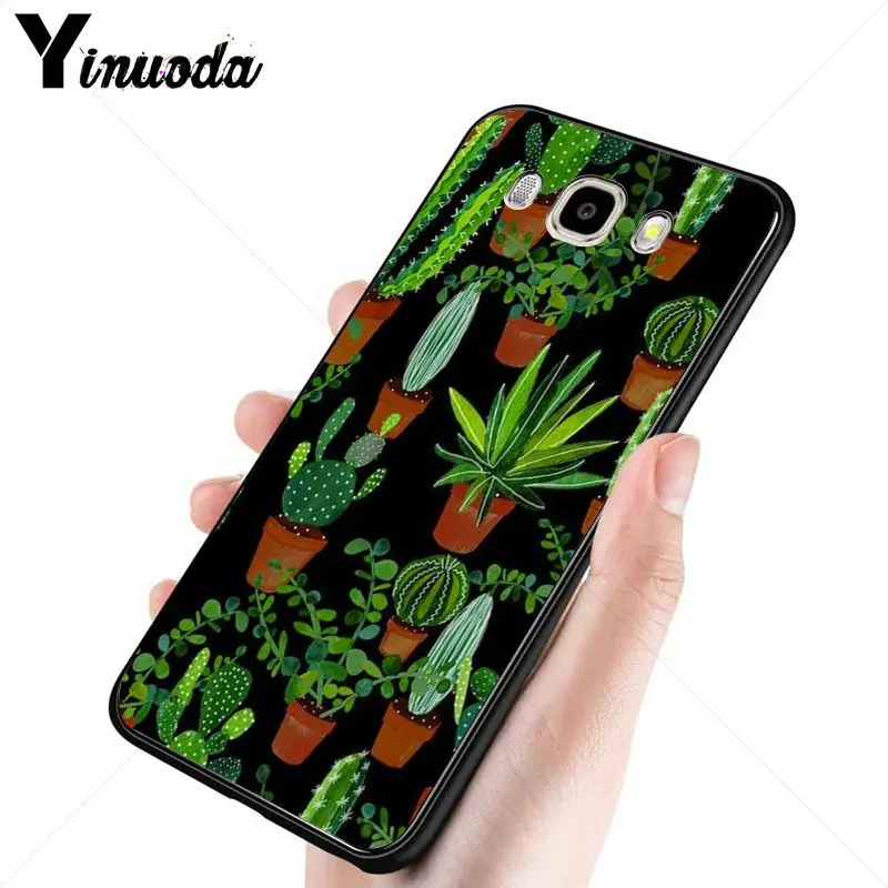green cactus plant