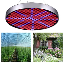 Растительная лампа в помещении полный спектр цветок световая панель для проращивания 50 Вт светодиодный свет для выращивания овощей 250 светодиодный красный синий теплица завод