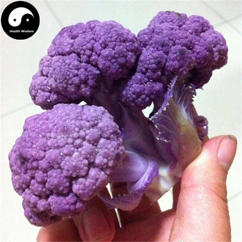 Buy Purple Cauliflower Vegetable Semente 100pcs Plant Rare