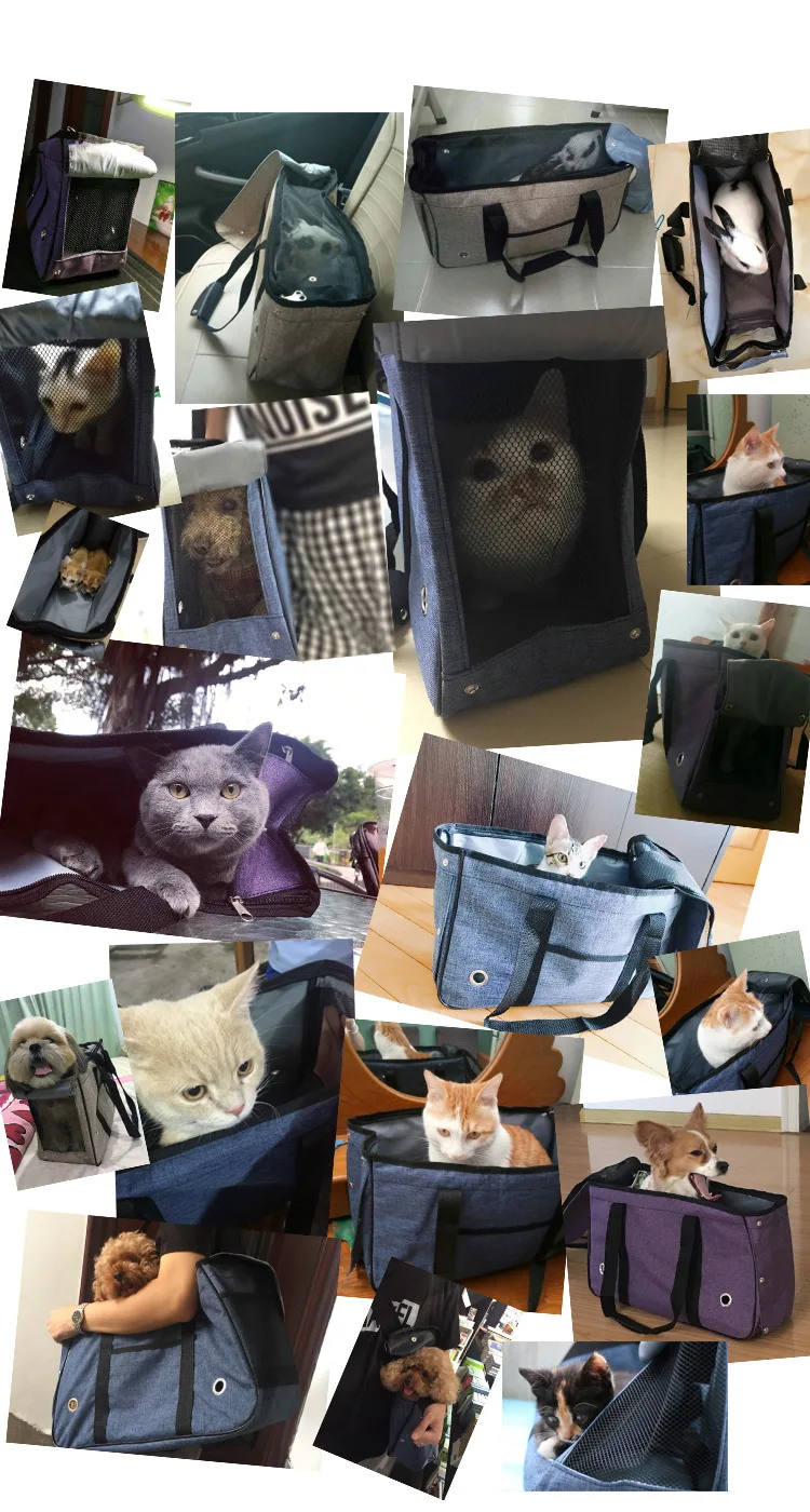 Pet Carriers  (1)