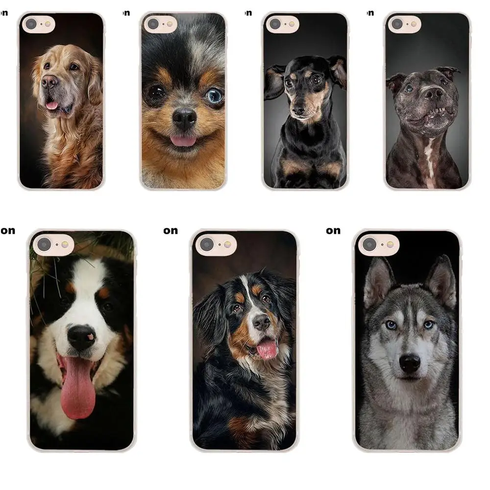 

Perciron Bernese Mountain Dog Puppy Soft Cases Capa For Sony Xperia Z Z1 Z2 Z3 Z4 Z5 compact Mini M2 M4 M5 T3 E3 XA