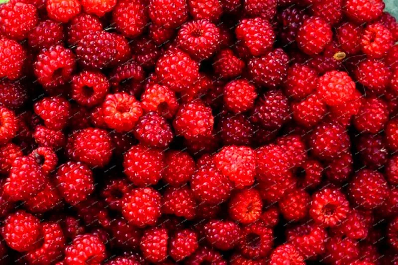 100 шт./пакет Редкие Raspberry flores подлинный дикий зеленого, красного, голубого, фиолетового и черного цвета Raspberry растения для сада-бонсай фрукты искусственные растения план