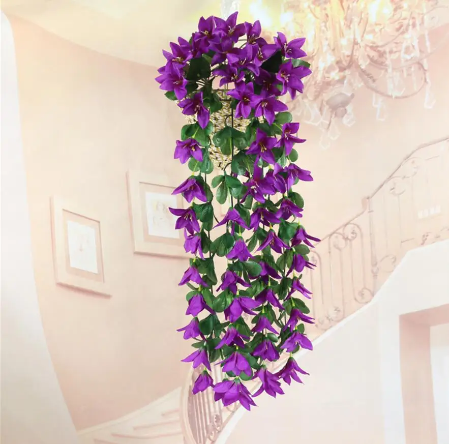 6--purple