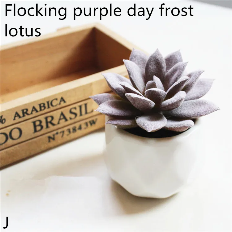 12_