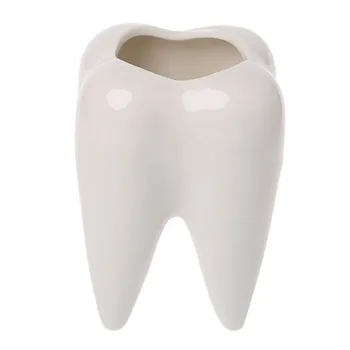 

1PC Tooth Shape Creative White Ceramic Succulent Plants Flower Pot Modern Design Planter Teeth Model Mini Desktop Pot Gifts