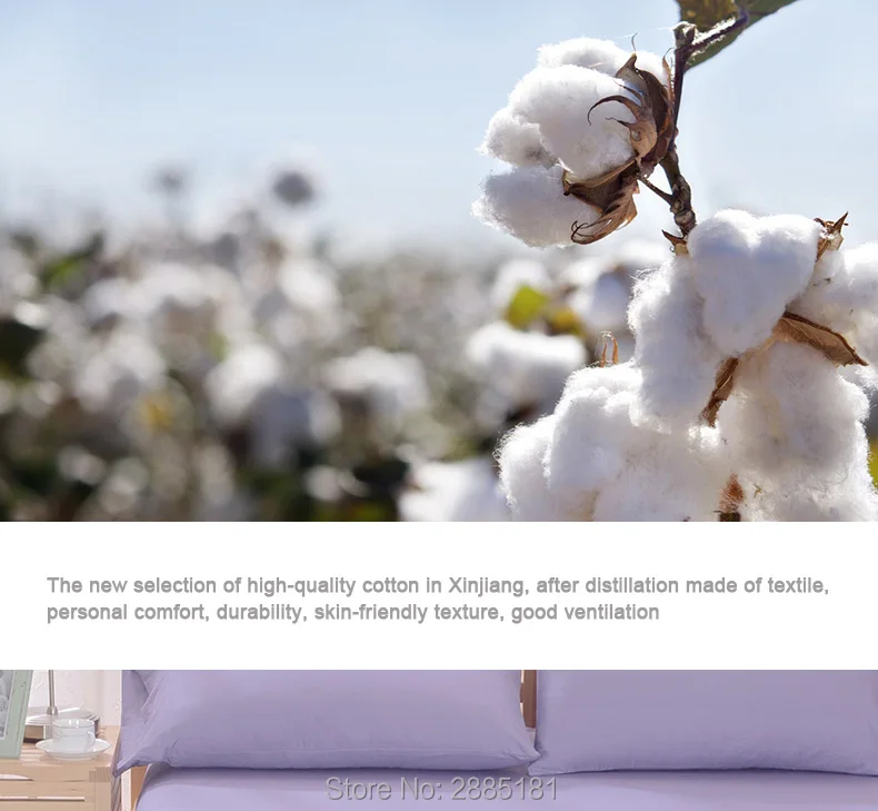 100%-Cotton-Solid-Color-Pillowcase_05