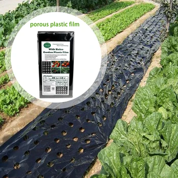 

Pokich Garden Vegetable Black Film Agricultural Plant Plastic Film Perforated PE Film 5 Holes Easy to Use 0.95*10M