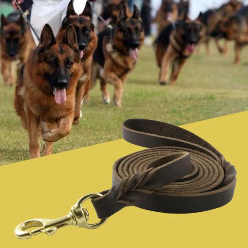 HSWLL Leather dog chain pet supplies dog leash German Shepherd dog rope