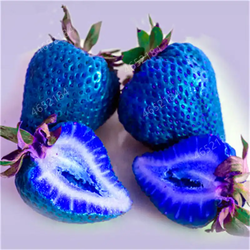 200pcs/bag blue strawberry rare fruit plant home tree climbing