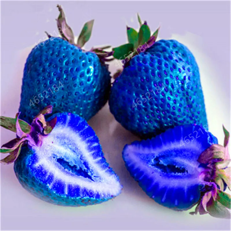 

200pcs/bag Blue Strawberry Rare Fruit Plant Home Tree Climbing Strawberry bonsai Courtyard Garden bonsai Hot Selling