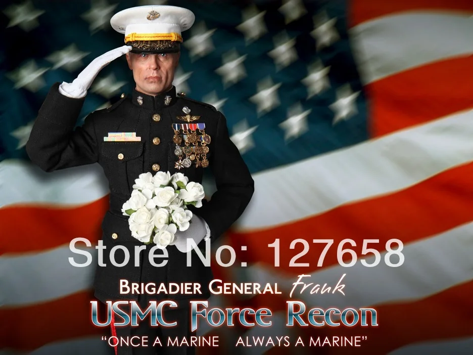 DID A80092 USMC Force Recon Brigadier General Frank Коллекционная фигурка