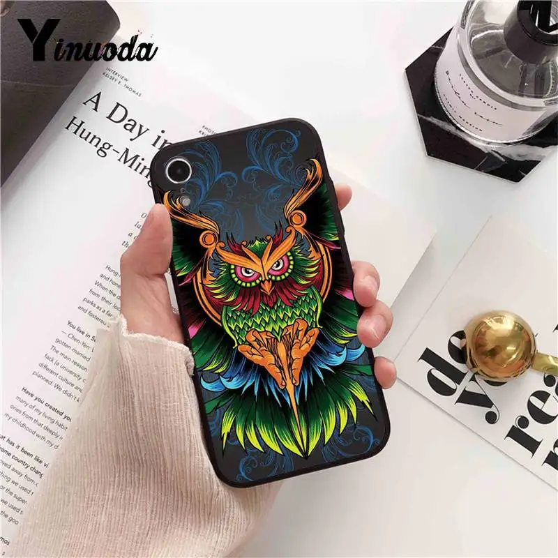Cool  Owl  Cartoon Painted