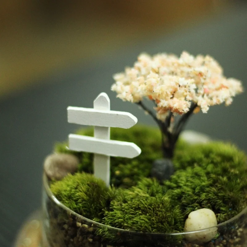10 шт. деревянные ремесла вывеска сказочные миниатюры садовый декор растение суккулент бонсай статуэтки, микро пейзаж