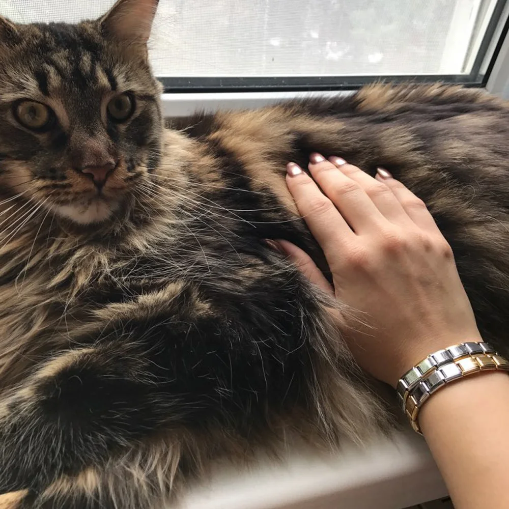 Bracelets For Women Men 2019 New Female Fashion Rose Bracelet Valentine's Day Couple Bracelets Stainless Steel Jewelry Wholesale Bracelets For Women Men 2019 New Female Fashion Rose Bracelet Valentine's Day Couple Bracelets Stainless Steel Jewelry Wholesale