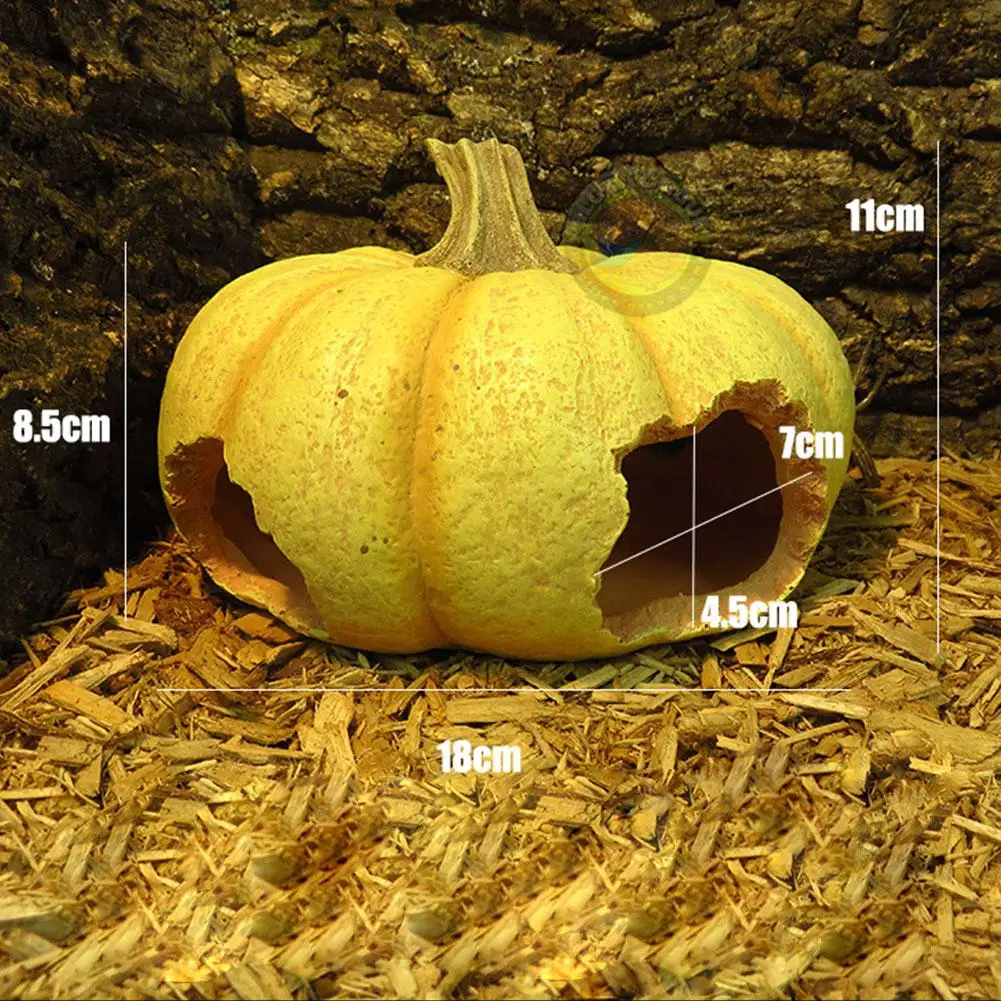 Хэллоуин кровать для домашних животных Тыква орех в форме раковины хиден пещера украшение для домашних животных рептилий Змея Скорпион рептилии продукты орнамент
