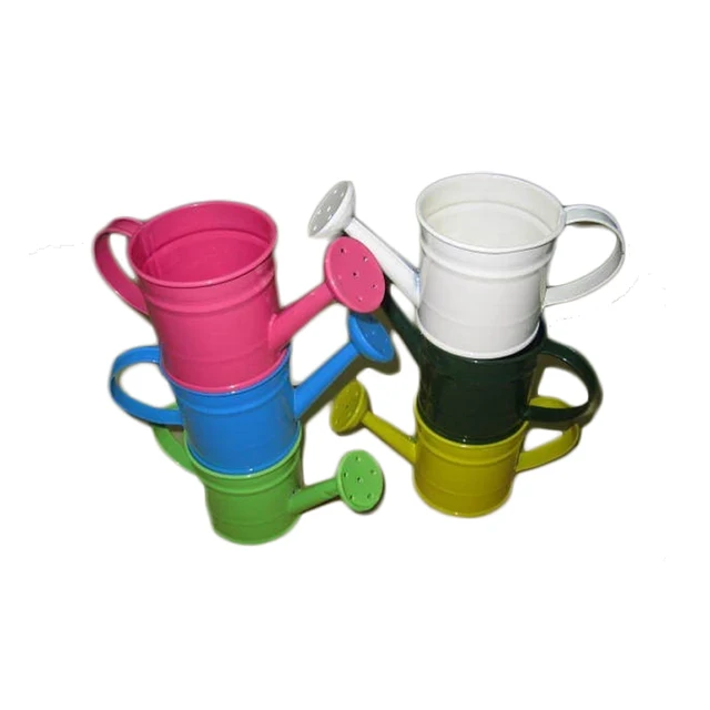 Colorized Watering Pot/ Flower Bucket/ Plant Bucket/Garden Bucket