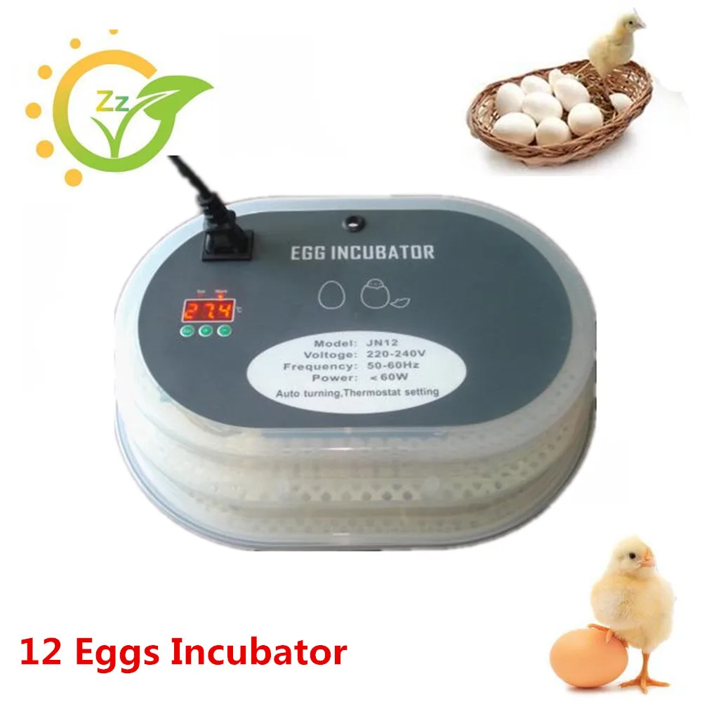 

Home Use Mini 12 Eggs Incubator Chicken Duck Fully Automatic Hatcher Electronic Display Thermostat Hatching Machine On Sale