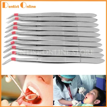 

10pcs Silver Cuspidal Dental Plier Tweezer Forcep Stainless Steel Teeth Clean Tools Professional Dentistry Instrument Hygiene