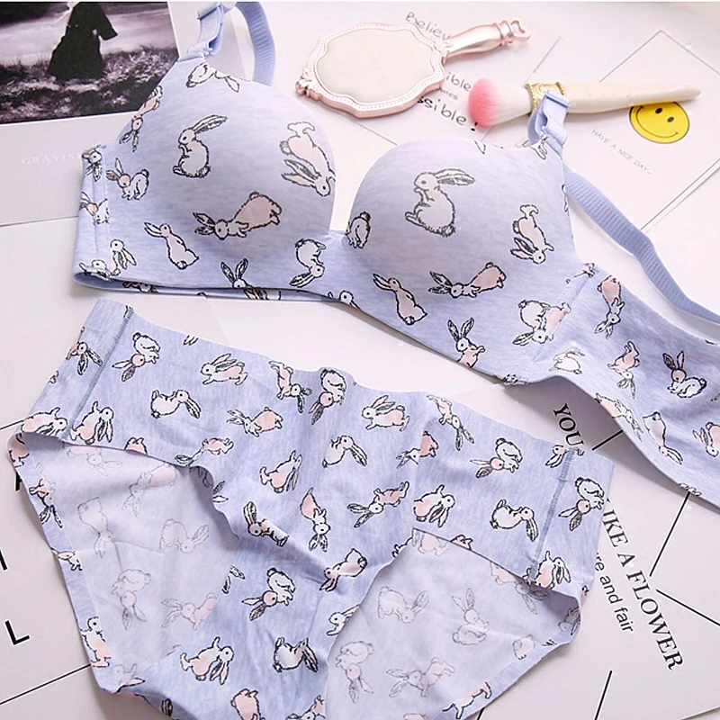 

rabbit Korean seamless young girls push-up fashion sexy underwear and panties one-piece comfortable bra set for student
