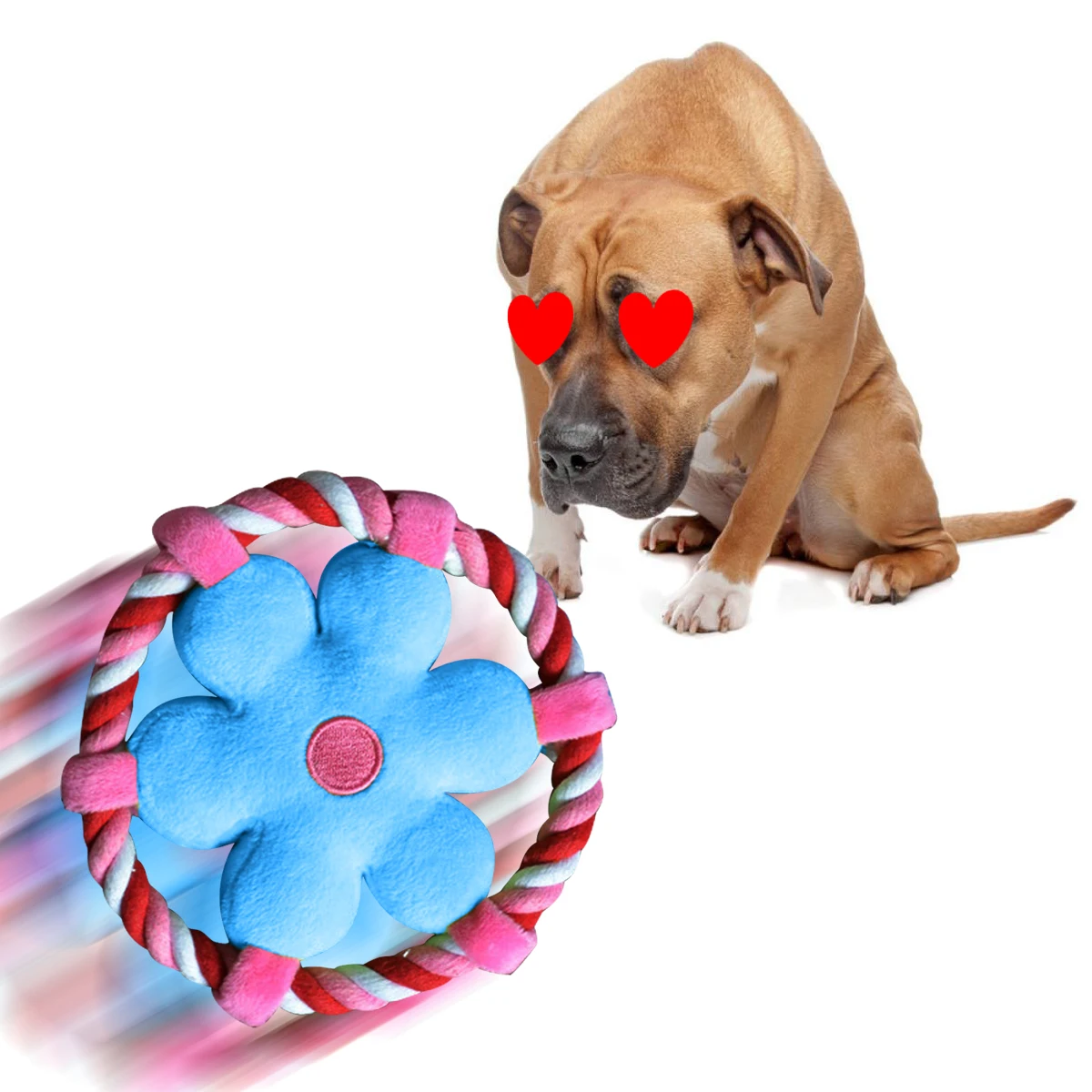 حار الحيوانات الأليفة أفخم زهرة تحلق القرص مضغ صار الصوت رمي اللعب المولي التدريب تحلق أقراص حار الحيوانات الأليفة أفخم زهرة تحلق القرص مضغ صار الصوت رمي اللعب المولي التدريب تحلق أقراص