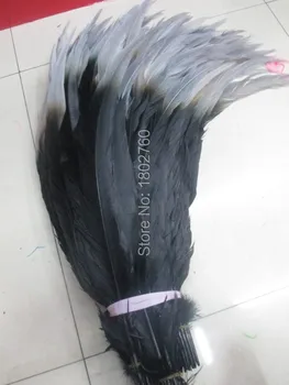 

Wholesale rare grey and Black Silver dual color Pheasant feathers 50 pcs 65-70 cm / 26-28 inch feathers