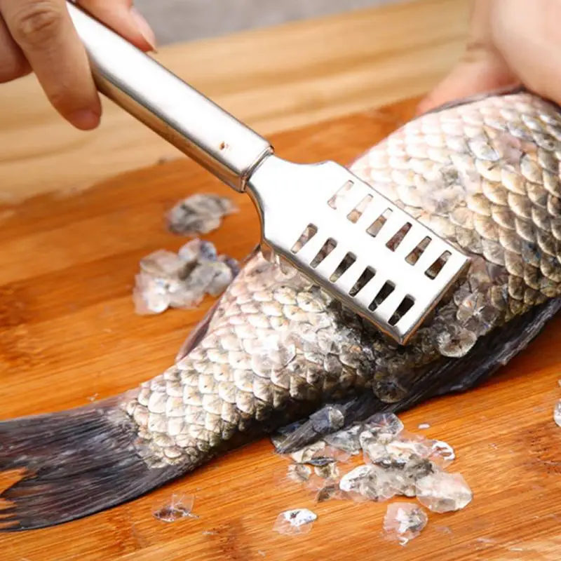 

Kitchen Tools Cleaning Fish Skin Stainless Steel Fish Scraper Brush Remover Cleaner Descaler Skinner Scaler Fishing Tools
