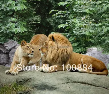 

3d lion bedding,4pc bedding sets without filler,gold lion bedspreads,lion animal 3d bedding queen size