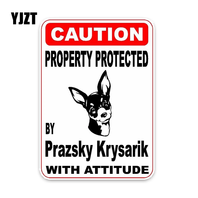 YJZT 10*14 2 см свойство защищено Prazsky Krysarik декоративная собака для автомобиля ПВХ