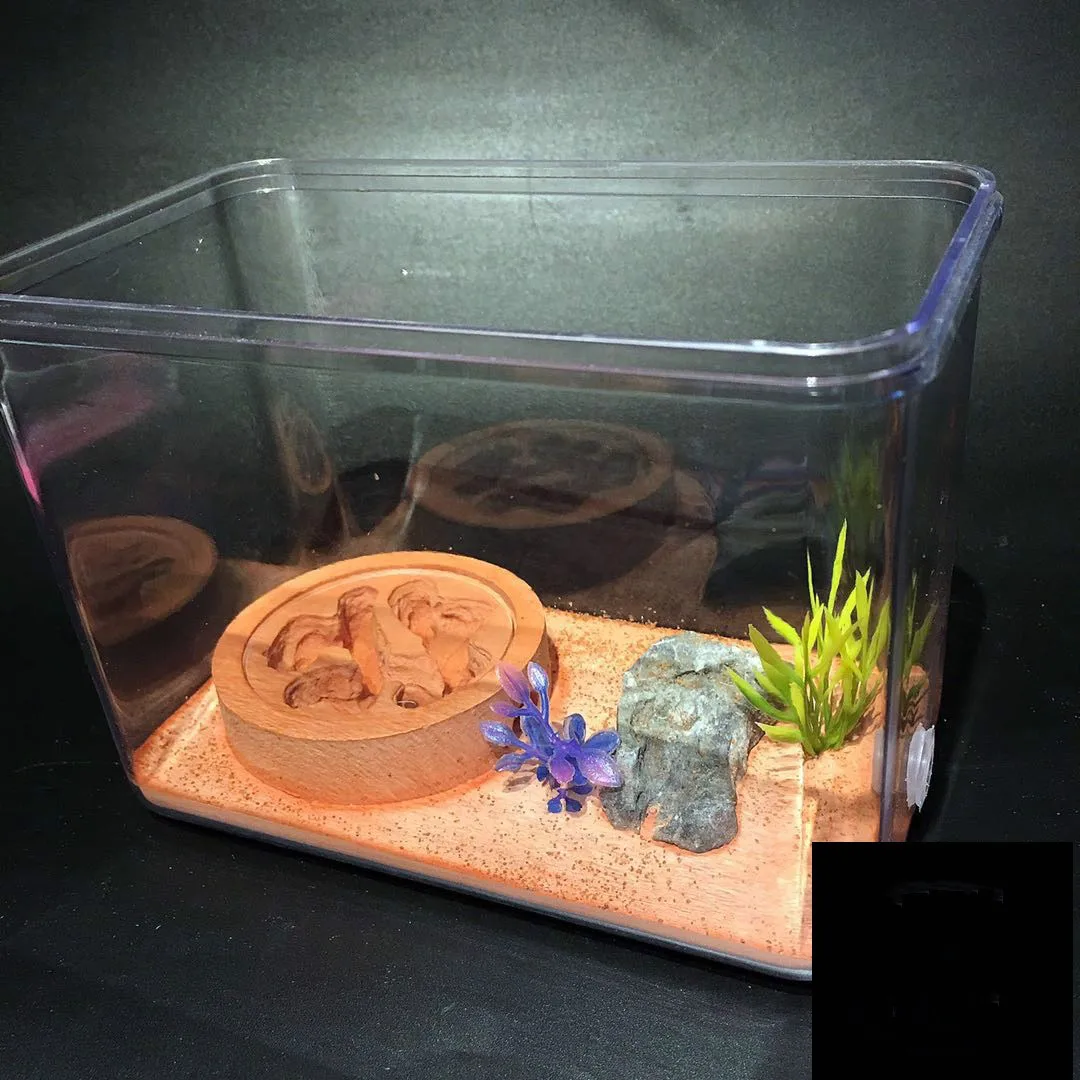 1PCS Simple Edition Moonmoon Nest Ant Nest Ant House Desk Decoration