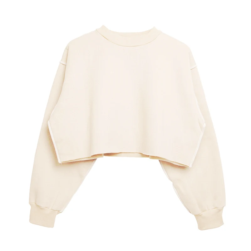 

Autumn Winter Women Loose Velvet Fleece Plain Seam Detail Crop Hoodie Female Crop Sweatshirt Polerones Poleron Mujer 2019 A0007
