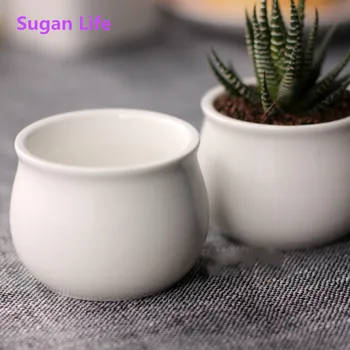 

Simple white ceramic creative Mini fleshy round belly small cylinder pot absolute explosion wholesale