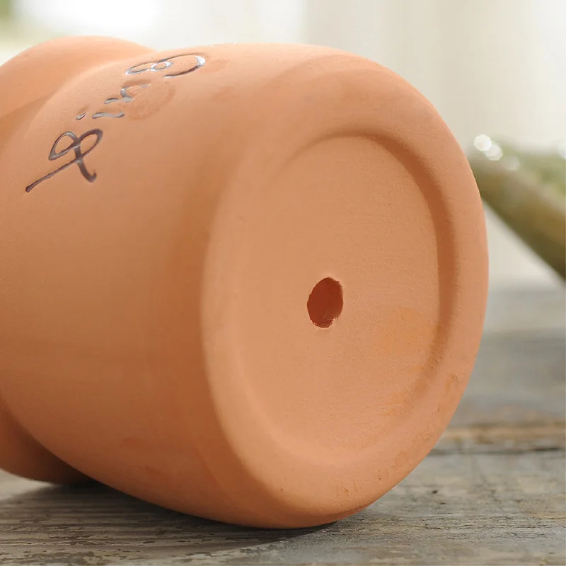Новинка 2019 Zakka молочный горшок в форме бутылки из терракотона цветочный растения