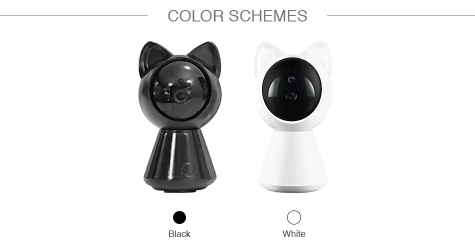 CE006037_02
