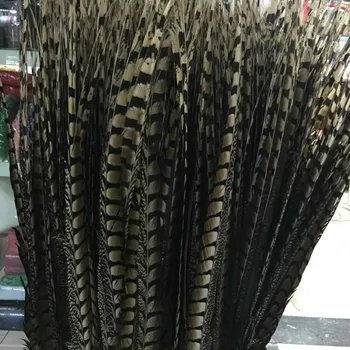 

free shipping 50 pcs/Lot 70-80cm natural lady amherst pheasant tail feather extension centerpieces wedding /carnival/festival