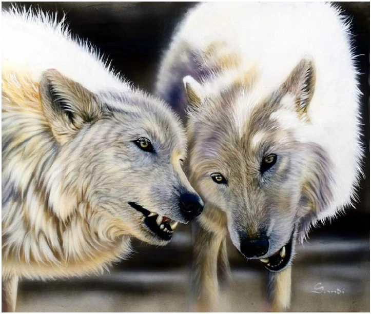 CS-171 cross stitch kit arctic wolf mate wolves HAE-DW494.jpg
