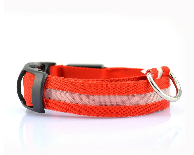 dog collar 1 (22)