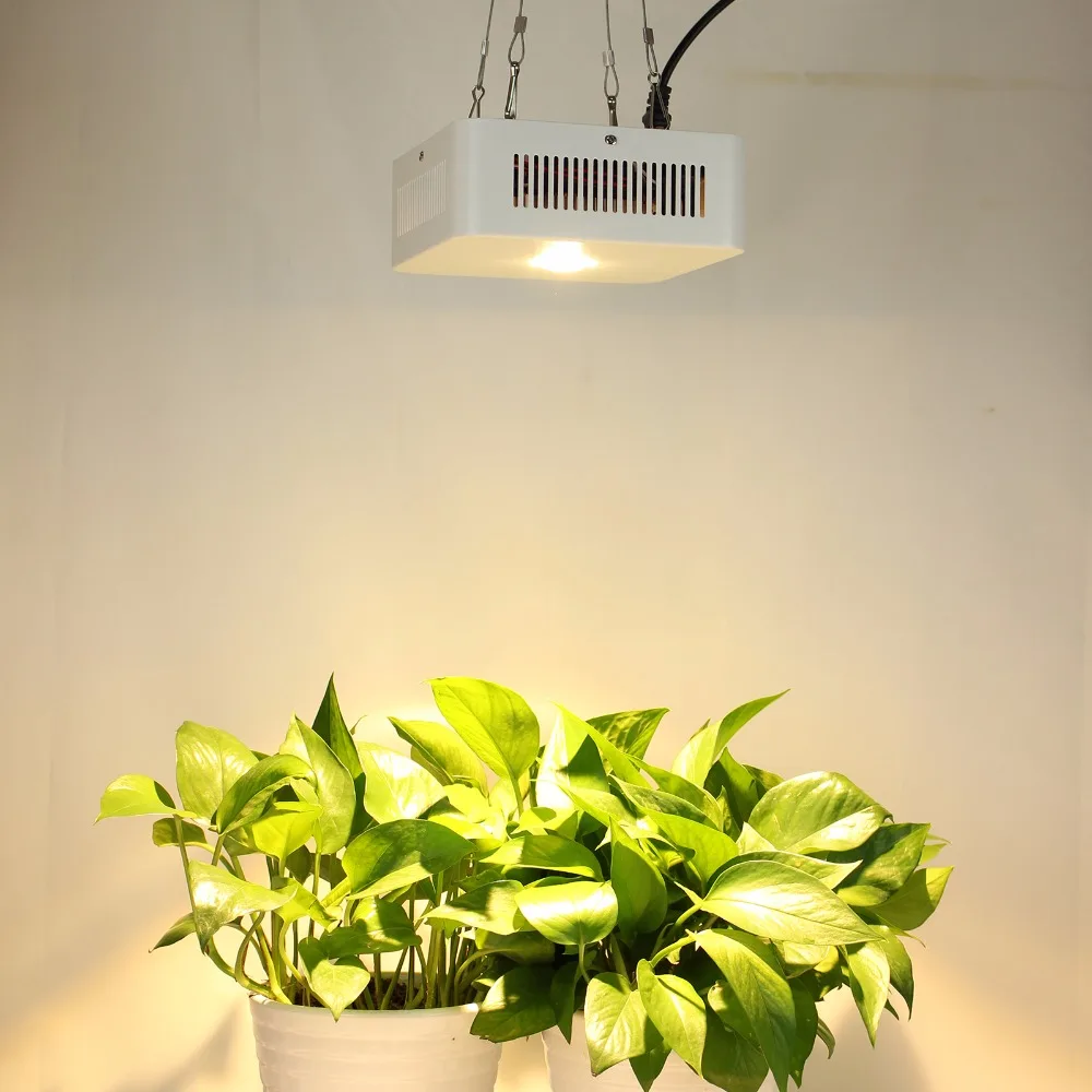 Populargrow 200 w led grow light с чипом cree cxa3070 cob для гидропонная теплица палатка коммерческие медицинские растения роста